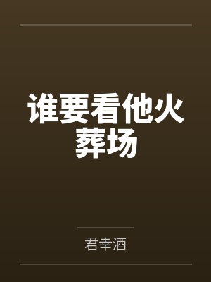 乌龙派出所-阿两的性福故事